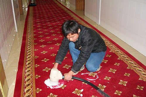 地毯清潔 (2)